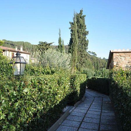 Monolocale Con Piscina S.Martino Apartment Riparbella Luaran gambar